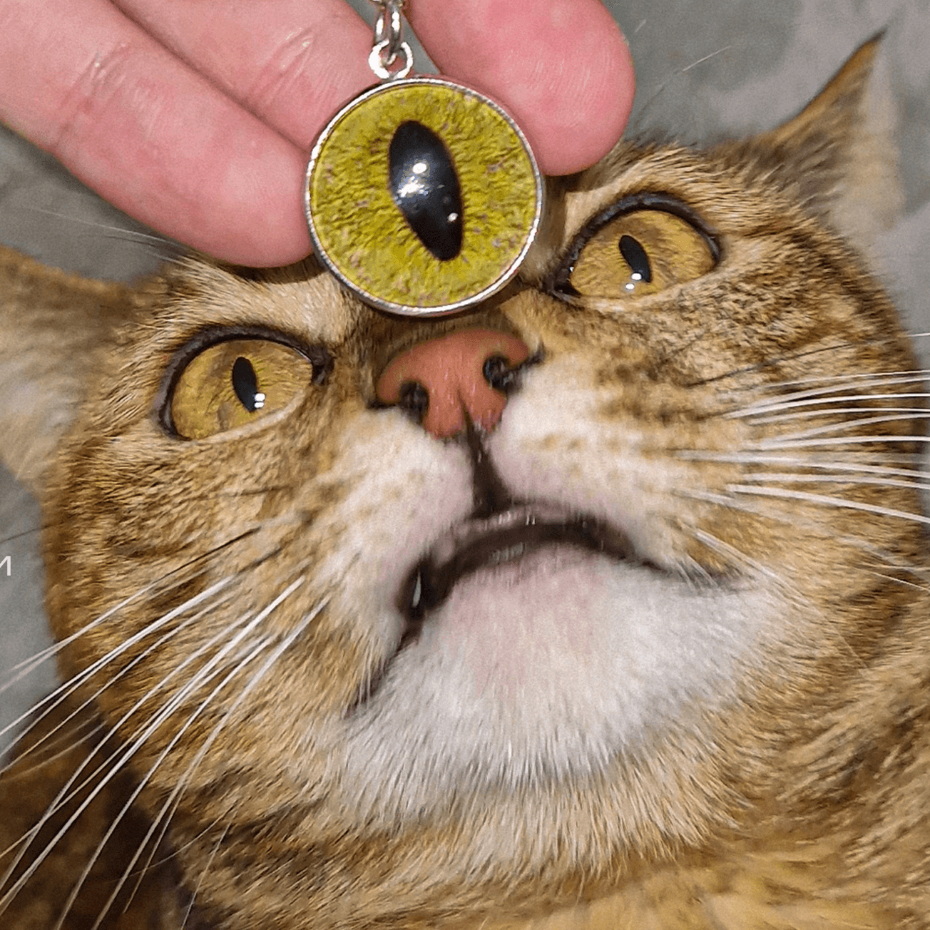 новая категория